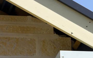 soffit repair Staploe