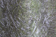 Staploe fibreglass roof work