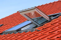 Staploe roof window