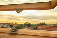 rated Staploe roof window companies